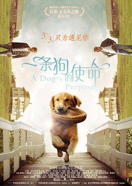 国产一区二区精品久久91