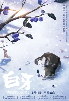 一区 国产 精品视频