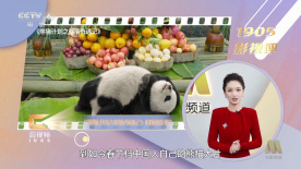 伊人色网站